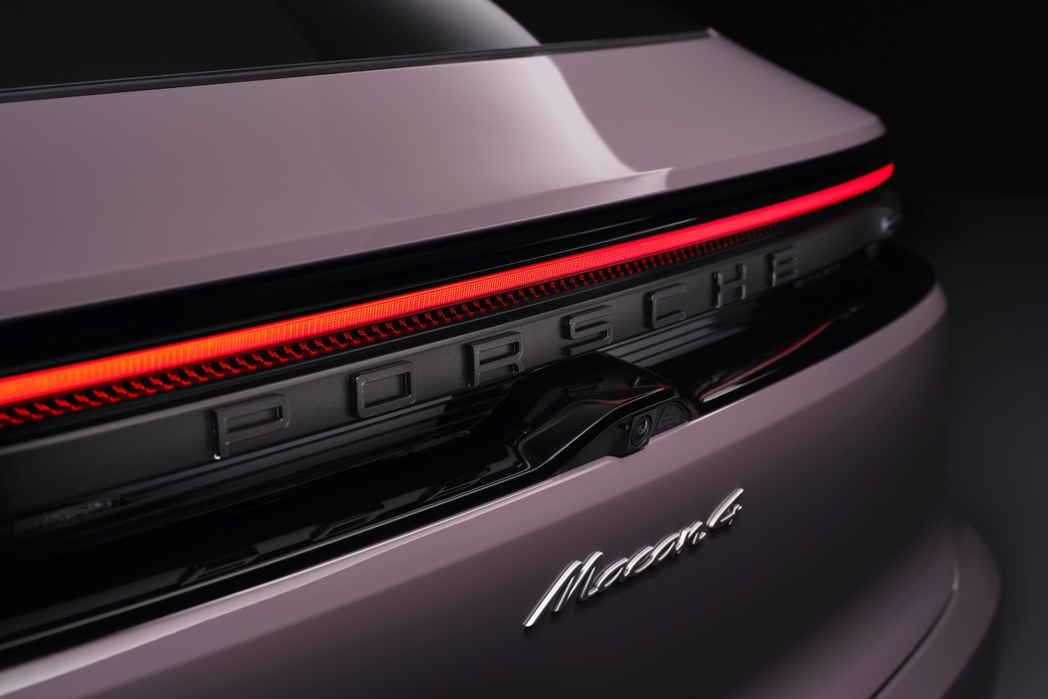 Selon les promoteurs de l'action, l'incendie du Felicity Ace s'est déclaré dans la batterie d'un véhicule Porsche à bord.