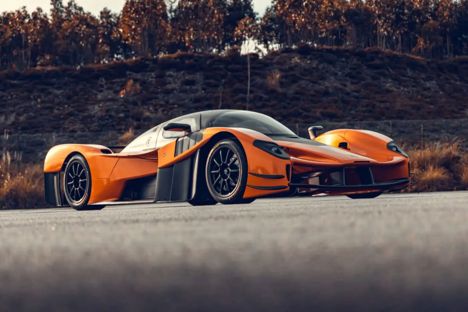 1715782874 860 Nomme Furia Adamastor presente le rival francais de Valkyrie