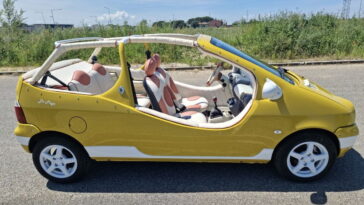 Cette voiture Renault Twingo Beach est nos plus grandes classifiées