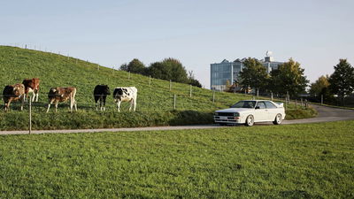 Abt ur-quattro - avant