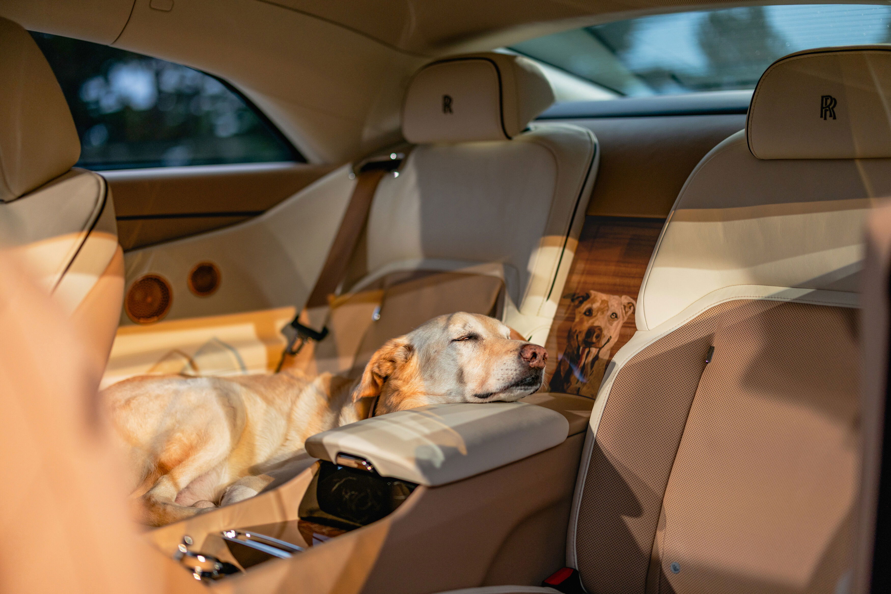Rolls-Royce Spectre Bailey - intérieur